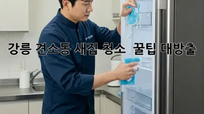 강릉 견소동 새집 청소 ✨ 꿀팁 대방출! ✨