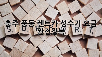 충주 풍동 렌트카 성수기 요금 완전정복! 🚗💨