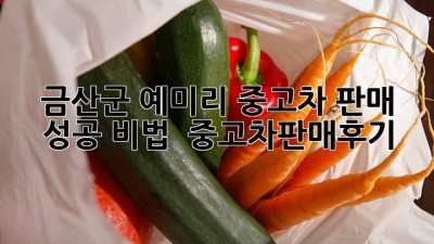 금산군 예미리 중고차 판매 성공 비법 🚗💨 #중고차판매후기